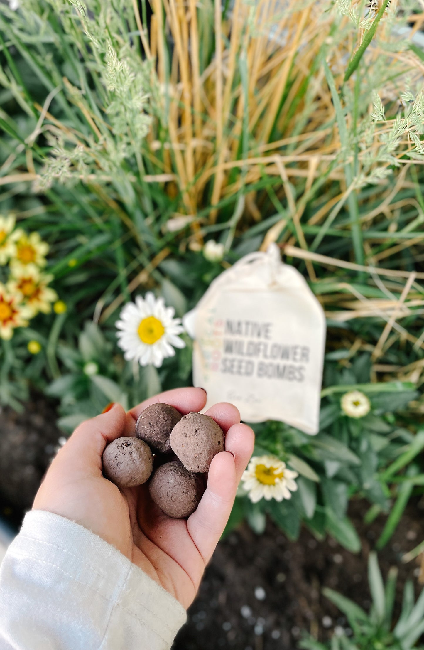 Butterfly garden // Alberta native seed bombs